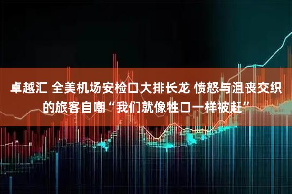 卓越汇 全美机场安检口大排长龙 愤怒与沮丧交织的旅客自嘲“我们就像牲口一样被赶”