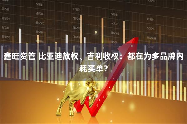 鑫旺资管 比亚迪放权、吉利收权：都在为多品牌内耗买单？